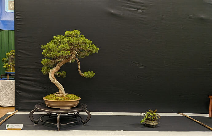 PXL_20260301_103418379