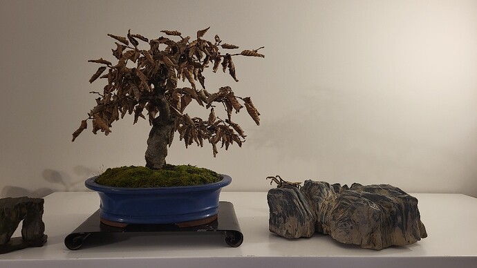 20250125_165549_resized