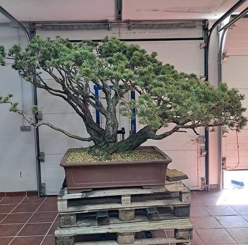 593646689_10233224398405264_6582065165005810644_n