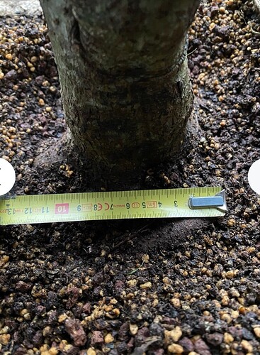 Screenshot_20260203_120348_com.android.chrome_edit_9918690741194