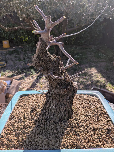 PXL_20260220_110901071.MP