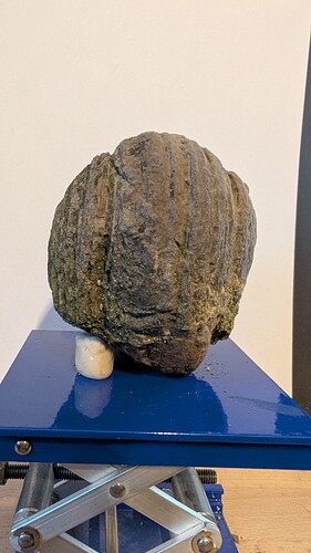 PXL_20260101_160030963