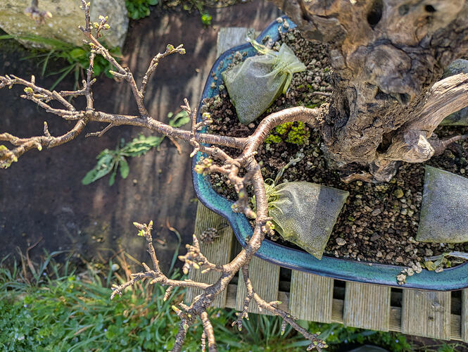 PXL_20260303_084322325