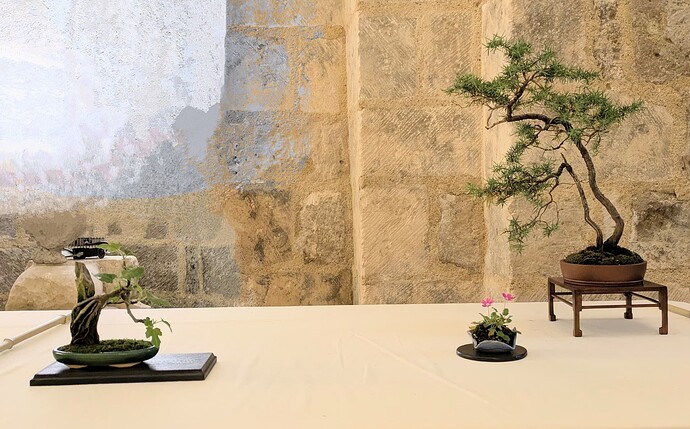 PXL_20250525_163904395.MP~2