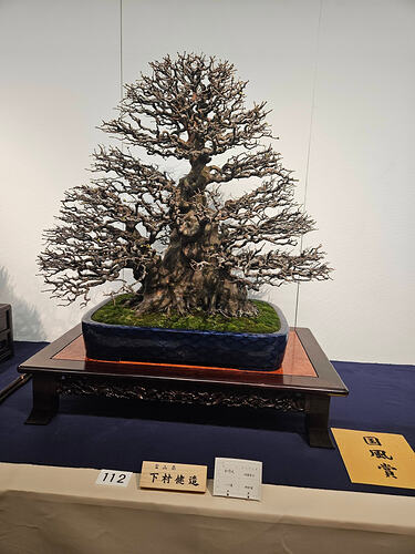 631174484_3344377652394296_5523551238430835710_n