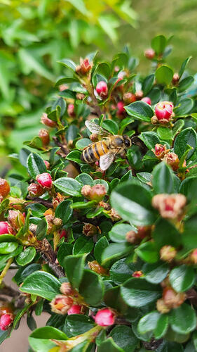 20260420_161014_resized