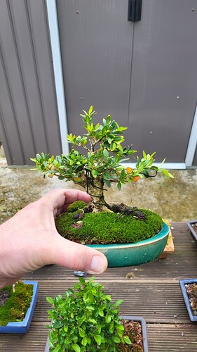 20250419_164930_resized