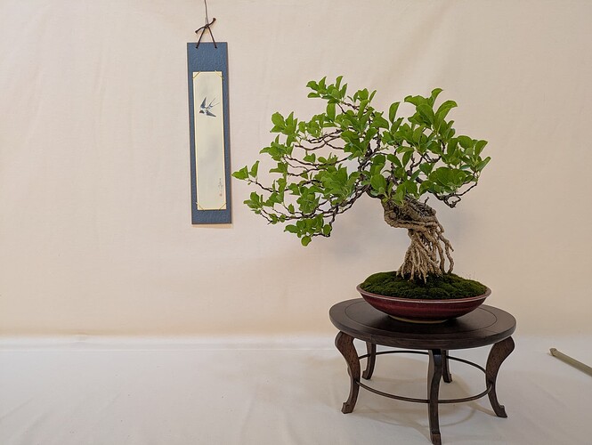 PXL_20250524_153047894