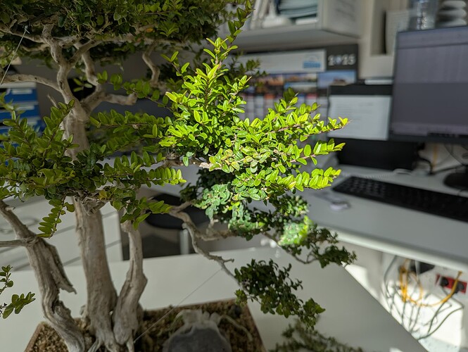 PXL_20251005_142054371