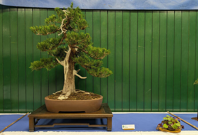 PXL_20260301_103502167