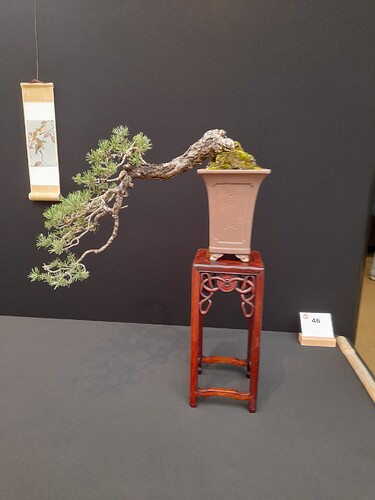 ed78784e-b076-469b-b1c5-bf9e6372e196-copied-media~2