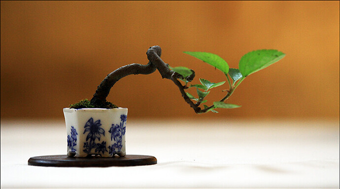 2025.05.25(40)copie1