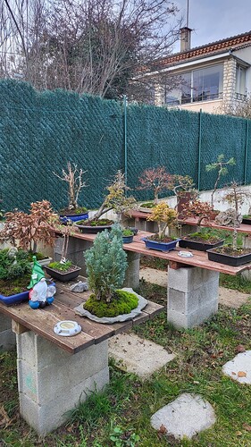 20251207_162955_resized