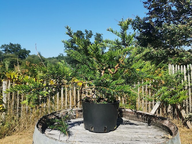 2025-08-10-19-52-30-917