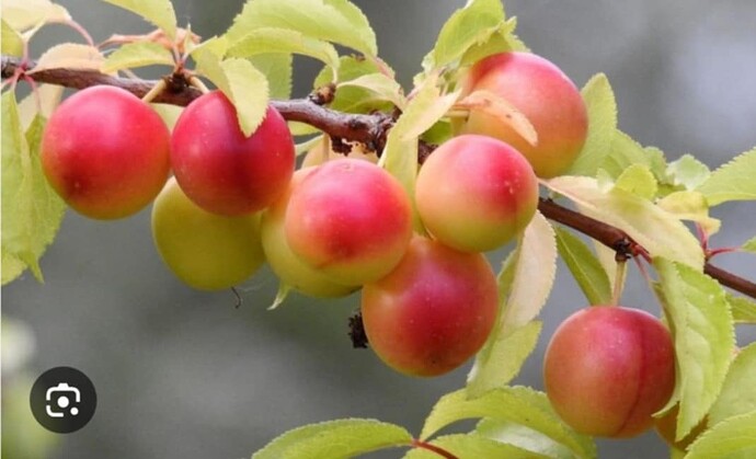 att.v7FoT43pJdKQ1YvtDPdi2gAHhzhmiphBStpCa6txN-k