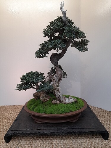 6ce7792b-b870-47a7-b358-2451c9d7f683-copied-media~2