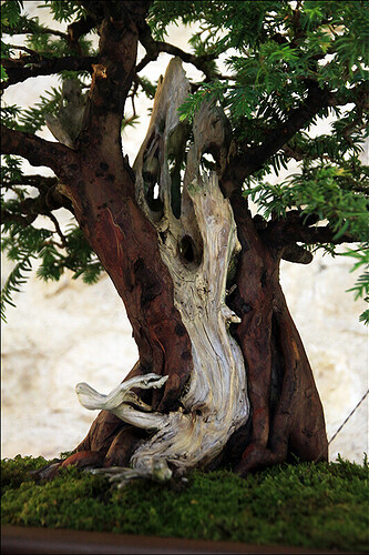 2025.05.24(79)copie1