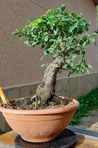 att.xnSXAIw9jbiuHTcgl1B_X1lDyFFPA3GG_PYKPCbUHDY