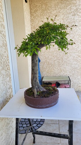 20250421_145744_resized