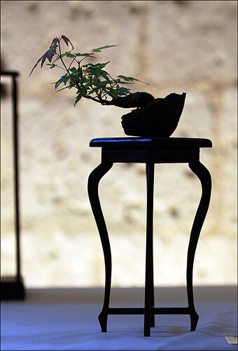 2025.05.25(43)copie1