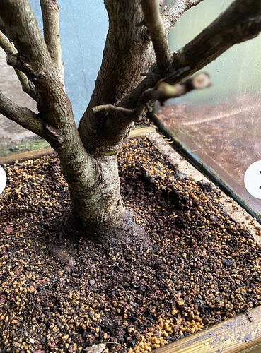 Screenshot_20260203_120327_com.android.chrome_edit_9907491632862