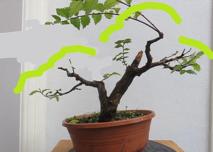 ___________DSCN01-02