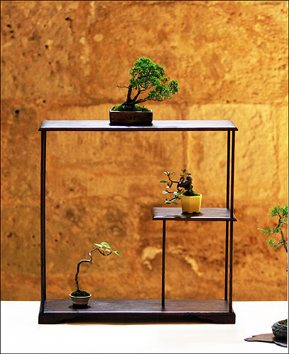 2025.05.25(30)copie1