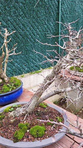 20251224_155643_resized