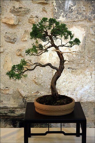 2025.05.24(94)copie1