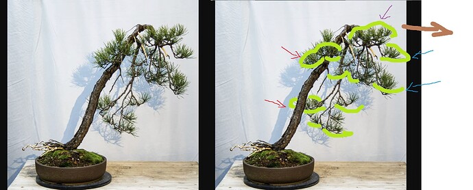 ___________DSCN01-1virt7