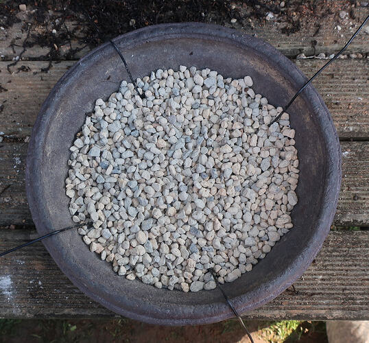 pin flexible 2026 03 04 (4)