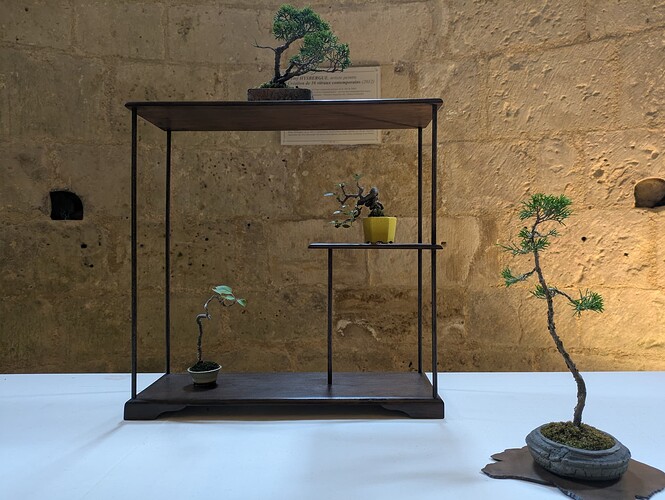 PXL_20250524_153338477