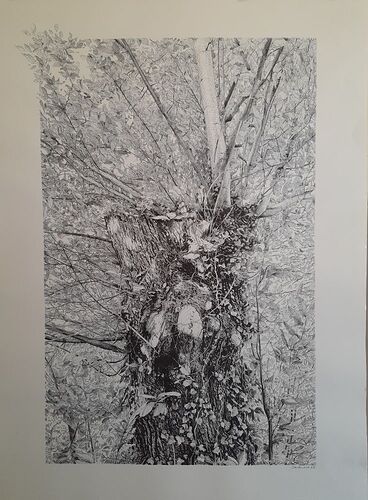 579107823_3275708369272067_3595063142121630414_n