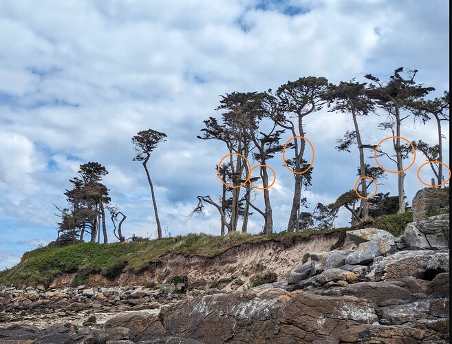 ___________DSCN01-01