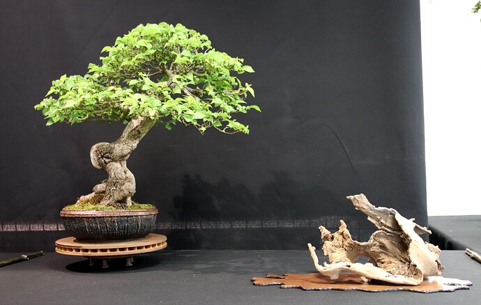 2025-05 Marcoussis (15)