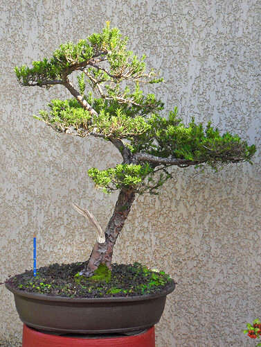 Capture d’écran 2025-11-09 à 15.54.48