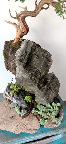 IMG_20250420_141605