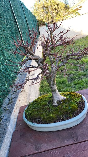 20250302_162244_resized