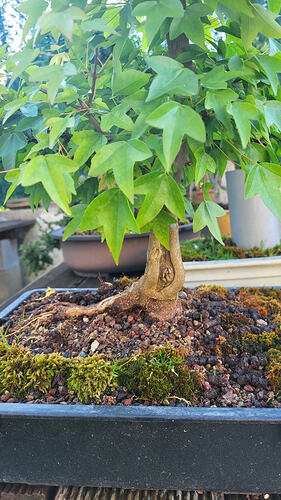 20260420_190321_resized