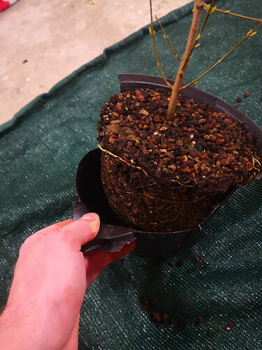 received_249032239961033