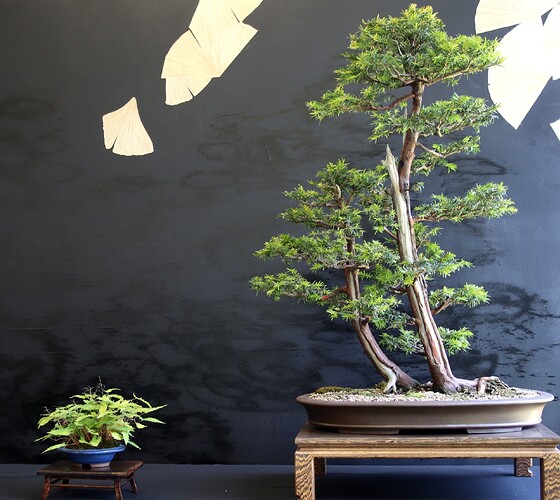 2025-05 Marcoussis (5)