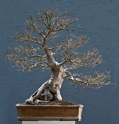 ___________DSCN01virt1-16