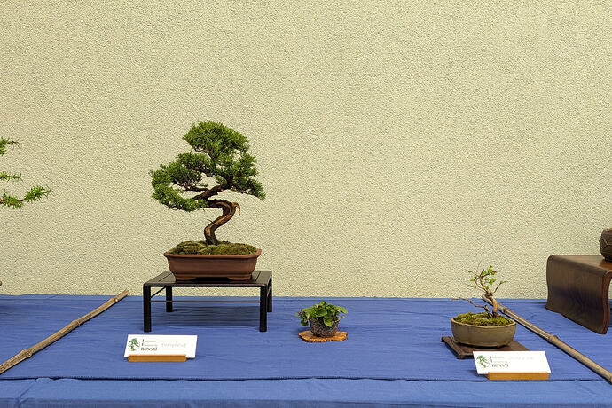 PXL_20260301_103315958