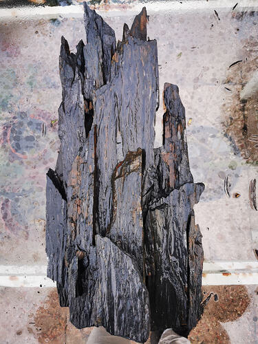 IMG_20260204_171812_edit_60968244990175