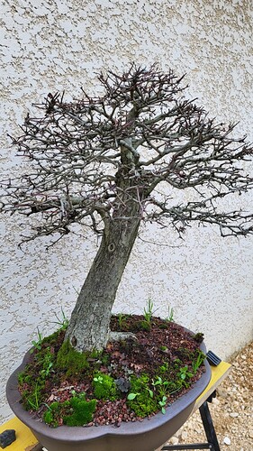 20251224_155354_resized