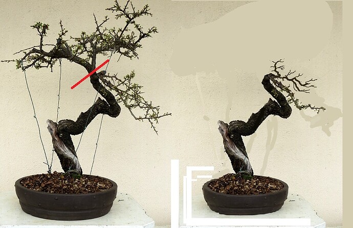 1938c32acb0f9ee40cd705e5e3b2baecaf960c6f_2_375x500