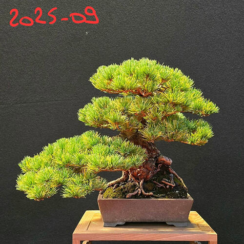 FB_IMG_1758568241208