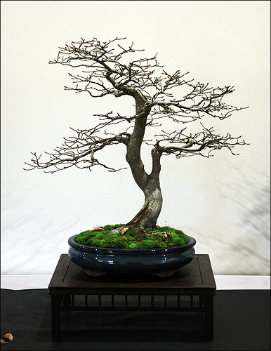 2024.10.20(11)copie1