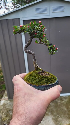 20250419_164948_resized