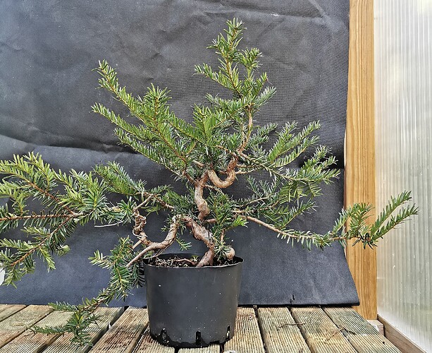 2025-11-01-17-34-22-301